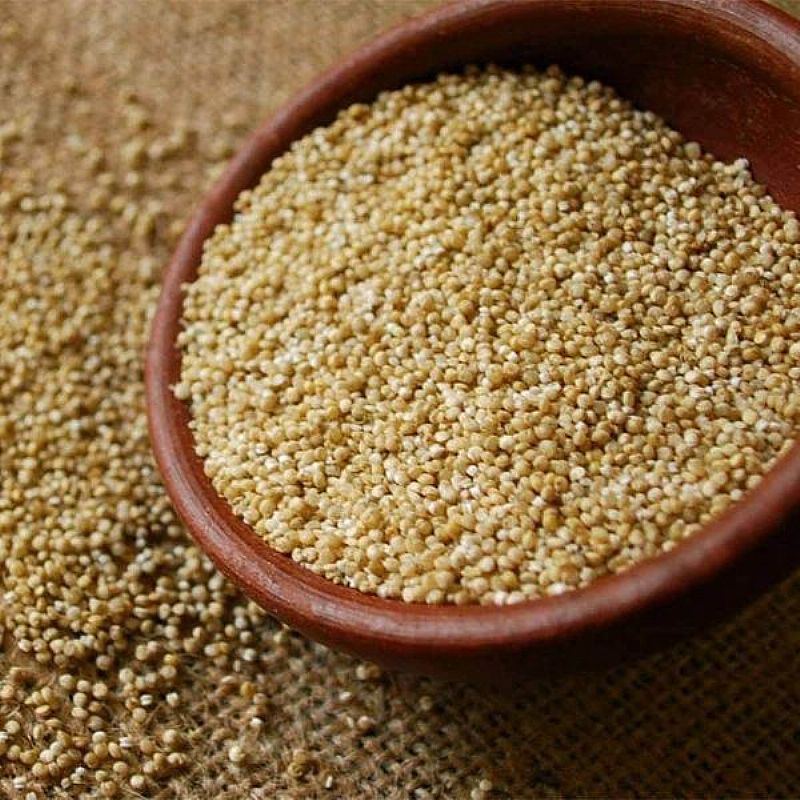 Quinoa Grãos